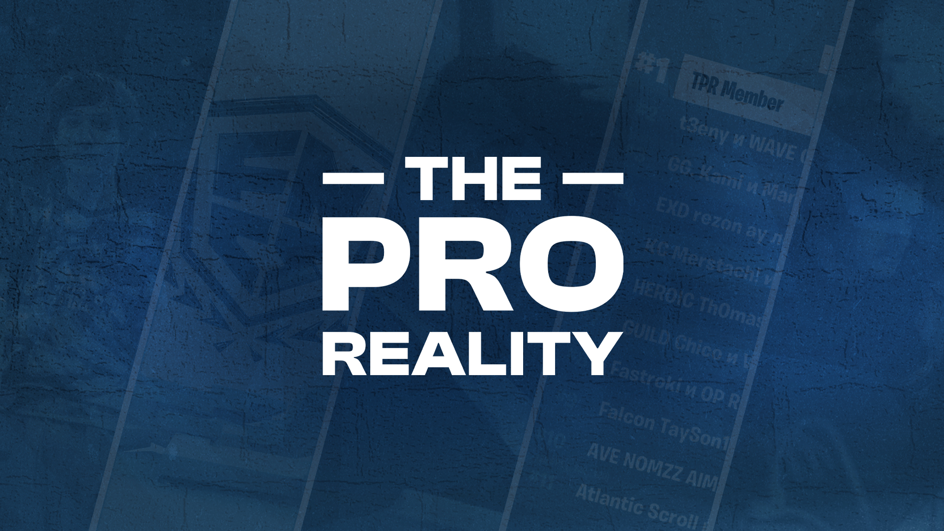 Discovery splash banner for The Pro Reality Discord server