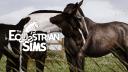 Discovery splash banner for The Equestrian Sims Discord server