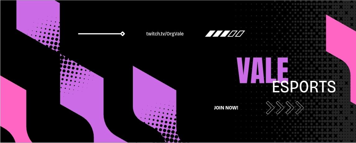 Discovery splash banner for Team Vale Discord server
