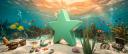 Discovery splash banner for ⋆ 1XT | Sohbet & Oyun Discord server