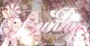 Discovery splash banner for 𝒟𝓉𝒾 ℬunny ୨𝑒 Discord server