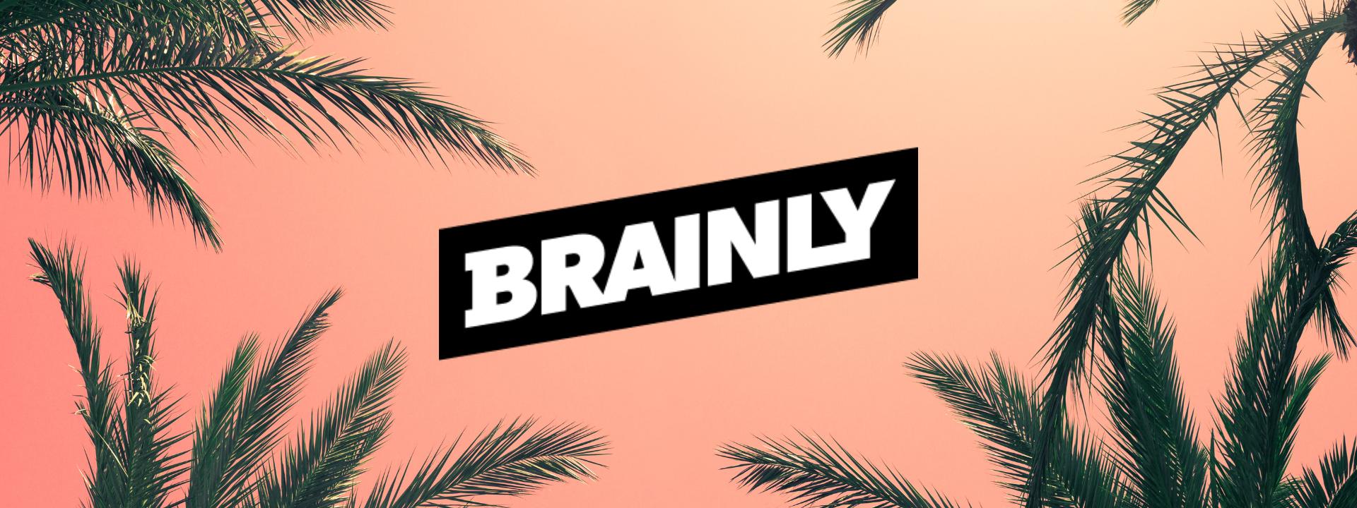 Discovery splash banner for Brainly HQ Discord server
