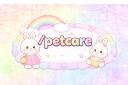 Discovery splash banner for petcare | J2L = ban revamp Discord server