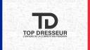 Discovery splash banner for Top Dresseur Discord server