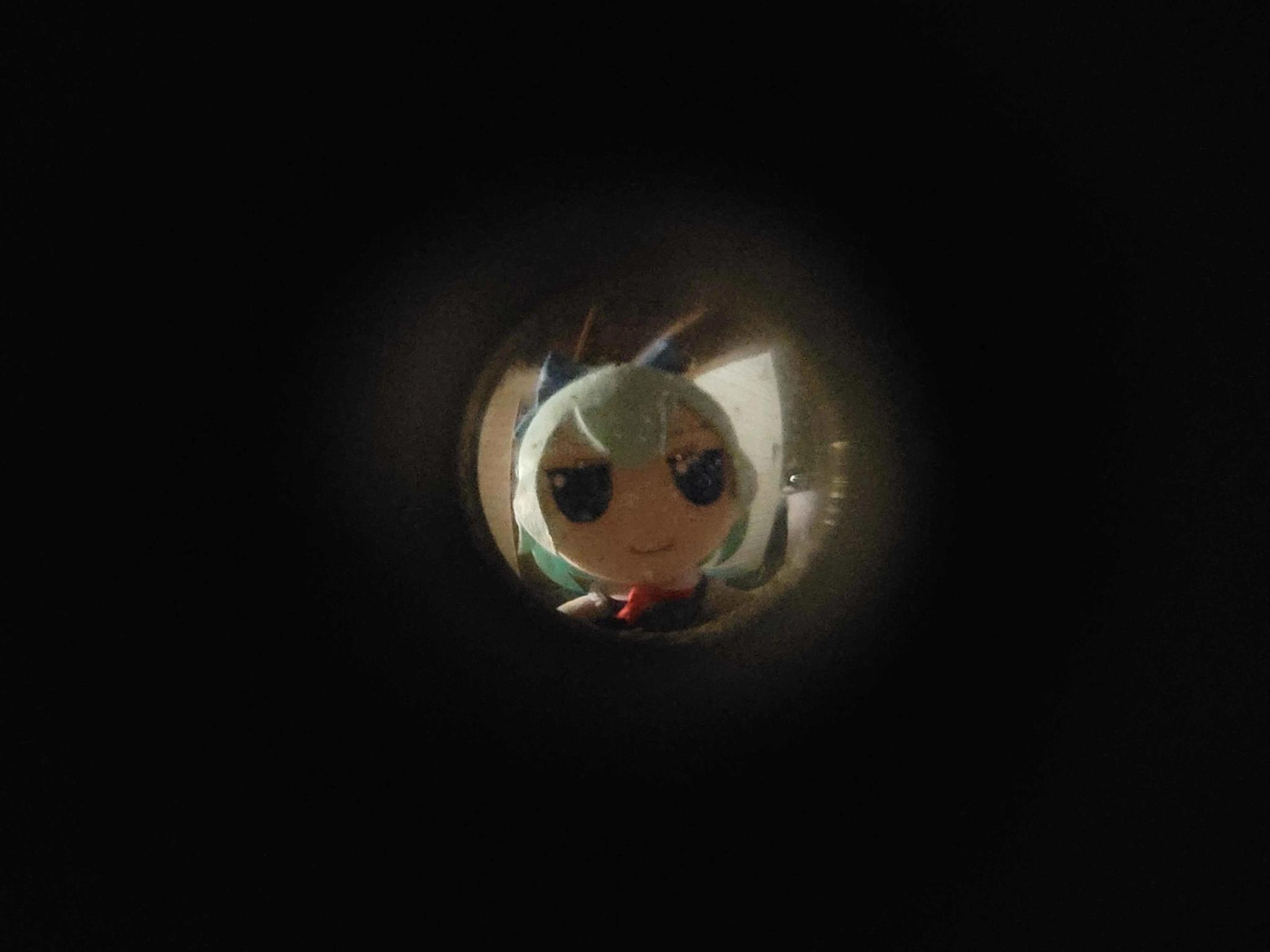 Discovery splash banner for Club Cirno Discord server