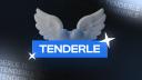Discovery splash banner for TENDERLY Discord server