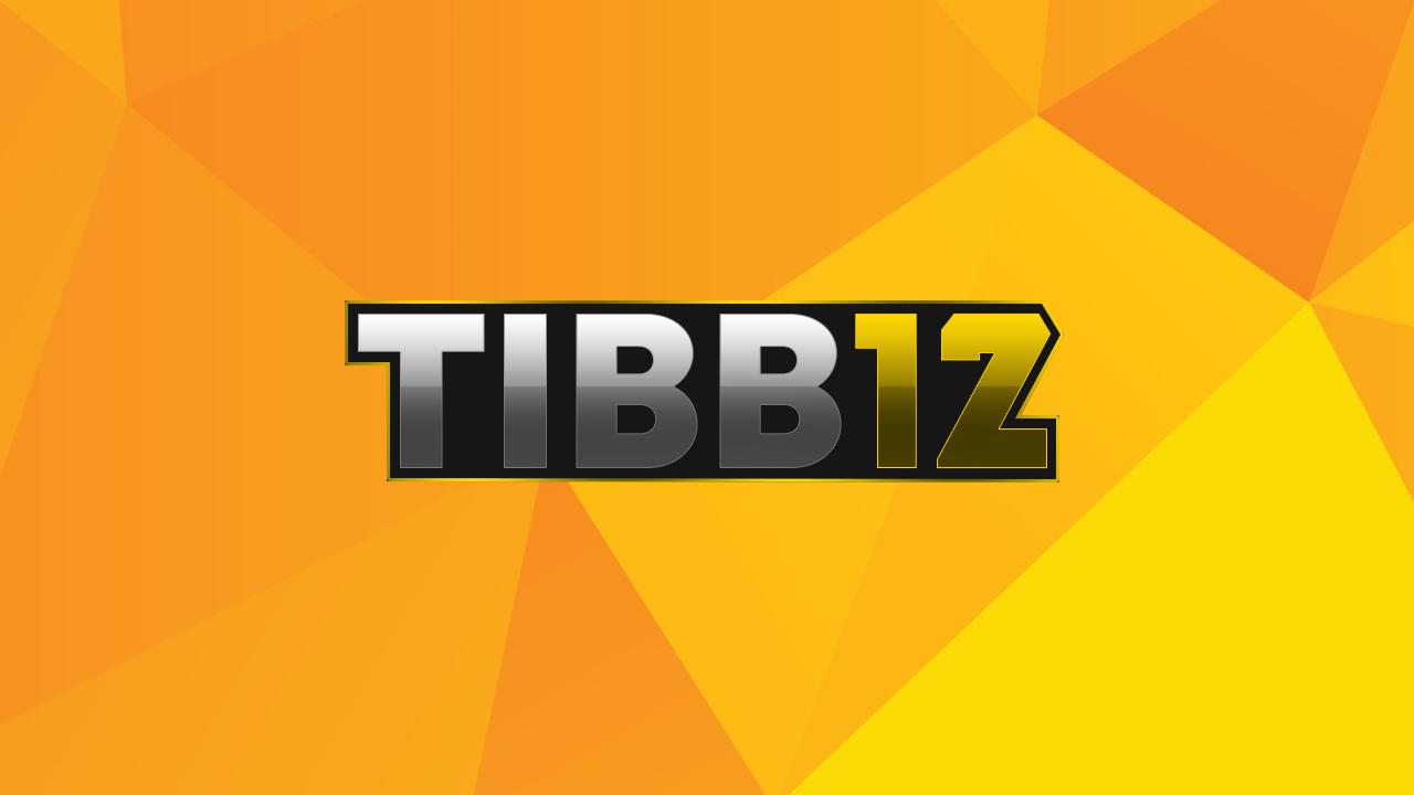 Discovery splash banner for Tibb12 Discord server