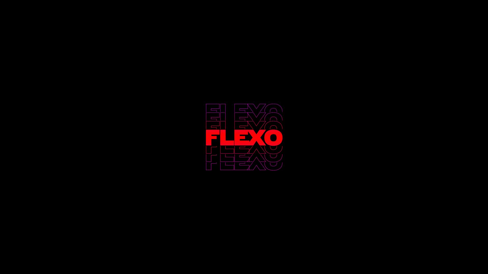 Discovery splash banner for FLEXO HANGOUT OFFICIAL Discord server