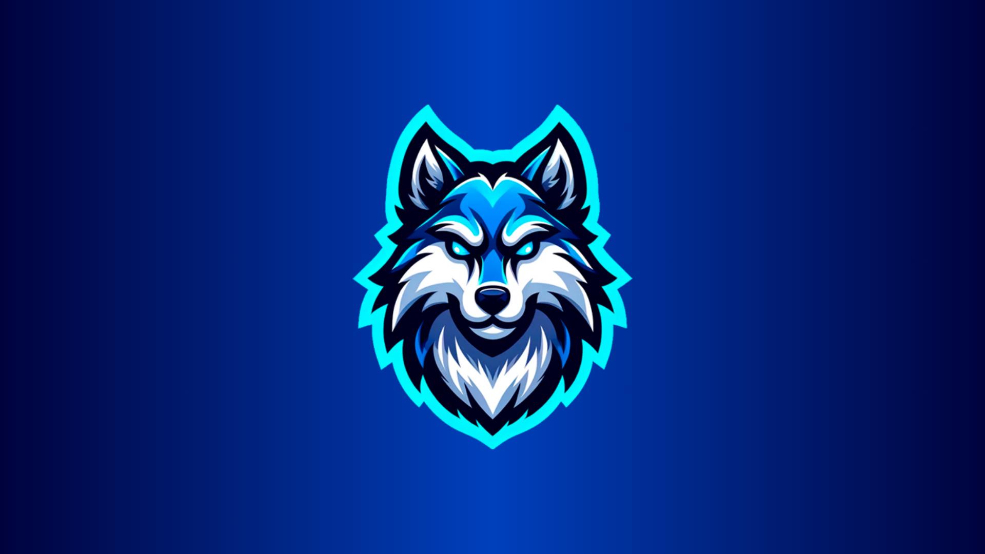 Discovery splash banner for Nicolas ECM Store Discord server