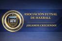 Discovery splash banner for 🥇 ASOCIACIÓN FUTSAL DE HAXBALL 🏆 Discord server