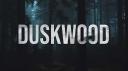 Discovery splash banner for Duskwood & Moonvale Discord server