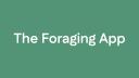 Discovery splash banner for Gather: Foraging App Community Discord server