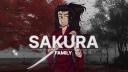 Discovery splash banner for S A K U R A Discord server