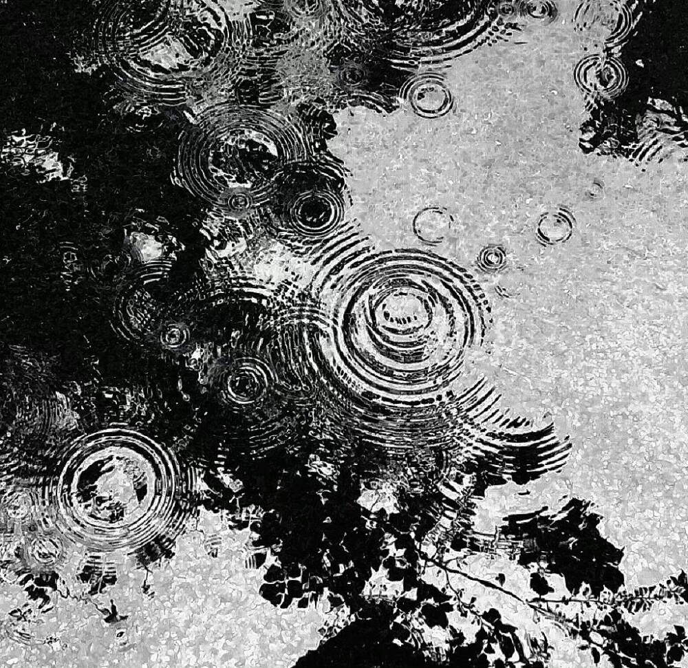 Discovery splash banner for π€οΌNhΓ cα»§a Thα» . ΰ² Discord server