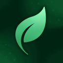 Discovery icon for Мастерская Джунглей 🌳 • Общение • Игры • Аниме Discord server