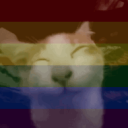 Discovery icon for Carrd & 🤫 + Discord server