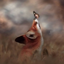 Discovery icon for EarthFox Discord server
