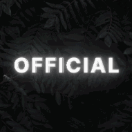 Discovery icon for OFFICIAL NA RANKINGS | BL:R Discord server