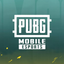 Discovery icon for Esports PUBG MOBILE MEA Discord server
