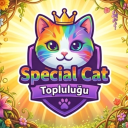 Discovery icon for 𓆩✧𓆪 Special Cat Discord server