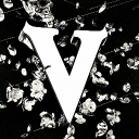 Discovery icon for Valk™ | PC Services Discord server