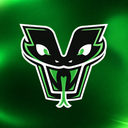 Discovery icon for (💚) VyperCraft Network Discord server