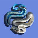 Discovery icon for Python Discord server