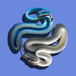 Discovery icon for Python Discord server