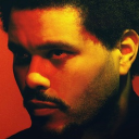 Discovery icon for The Weeknd Discord server