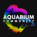Discovery icon for Aquarium Community Discord server