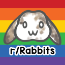 Discovery icon for Rabbitors Discord server