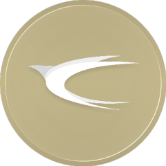 Discovery icon for SkyLink™ Group Discord server