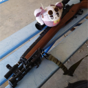 Discovery icon for Guns Girl Z JP - Foxgirl Discord server
